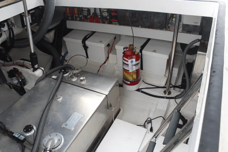 Slide: The Image of Schaefer 375 2024 - 77