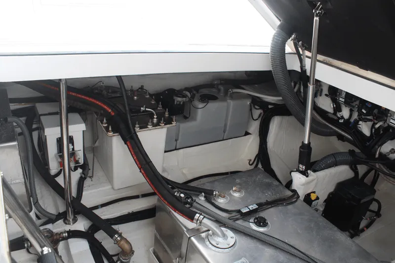 Slide: The Image of Schaefer 375 2024 - 81