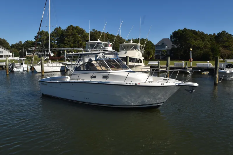 The Image of Shamrock 29 2004 - undefined
