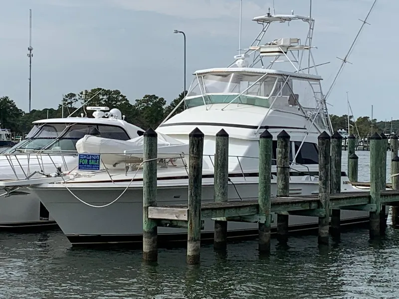 Slide: The Image of Bertram 54 1986 - 2