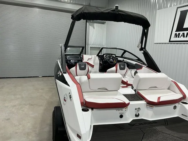 Slide: The Image of Scarab 195 ID 2023 - 11