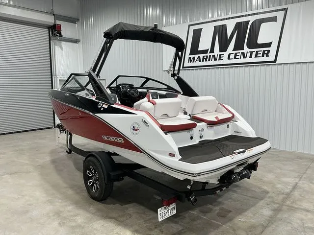 Slide: The Image of Scarab 195 ID 2023 - 13