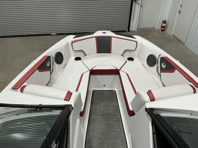 Slide: The Image of Scarab 195 ID 2023 - 15