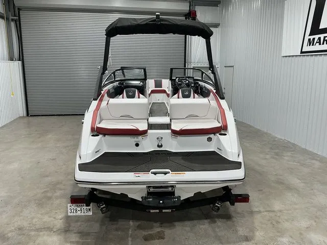 Slide: The Image of Scarab 195 ID 2023 - 2