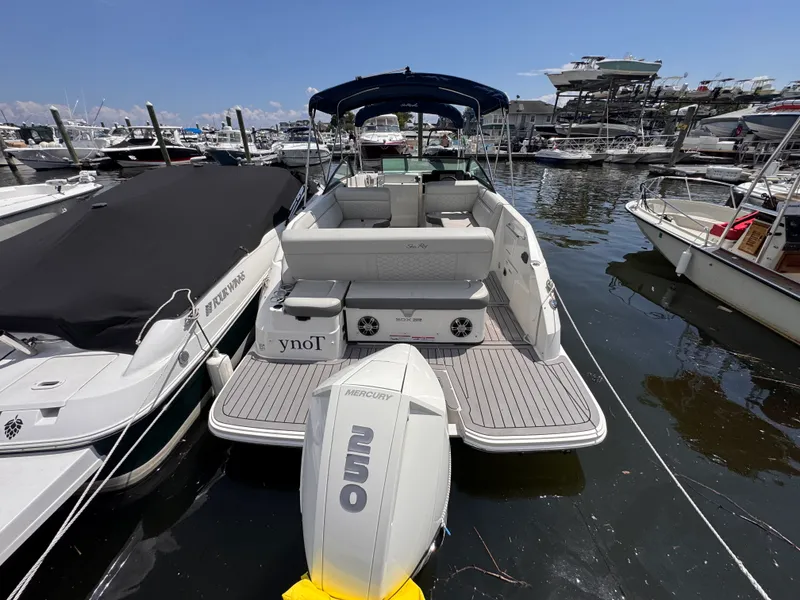 Slide: The Image of Sea Ray 250 SDX OB 2022 - 5
