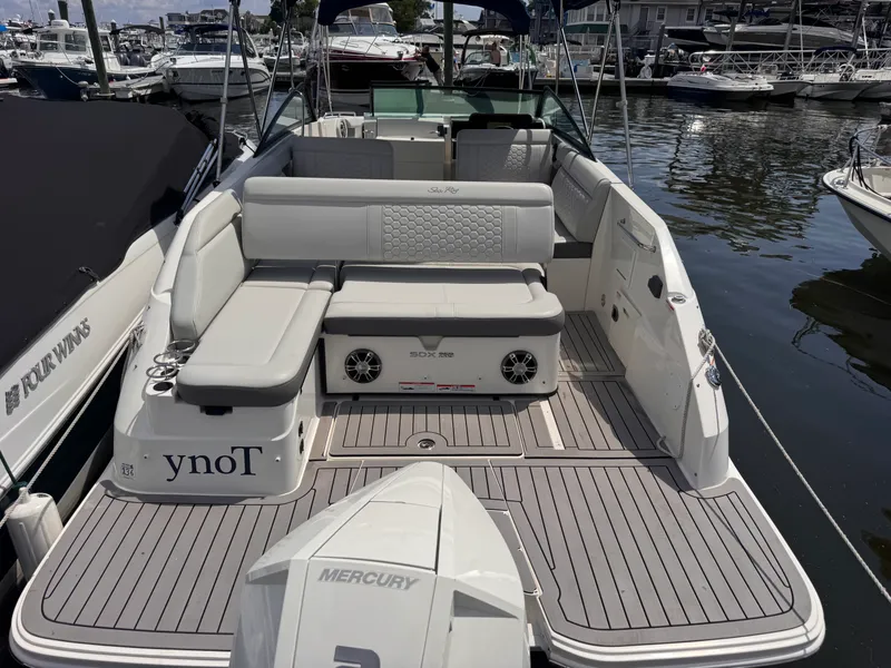 Slide: The Image of Sea Ray 250 SDX OB 2022 - 6