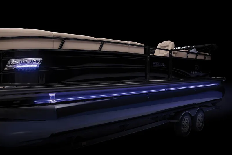 Slide: The Image of Regency 250 LE3 2023 - 44