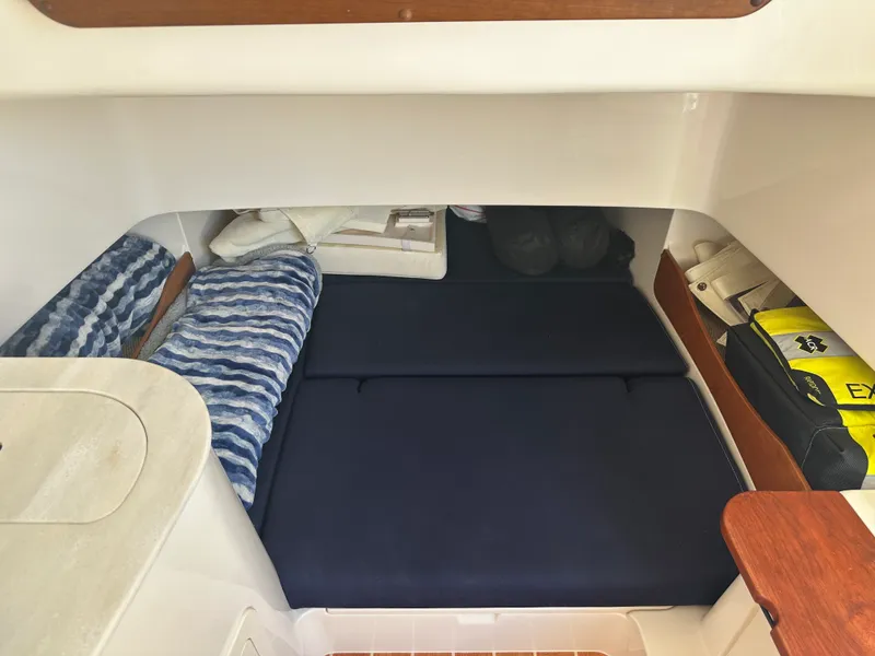 Slide: The Image of Grady-White Canyon 336 2023 - 59