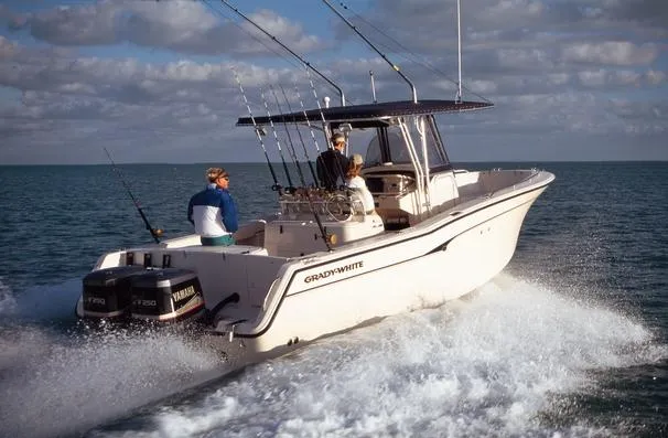 Slide: The Image of Manufacturer Provided Image: Bimini 306 - 16
