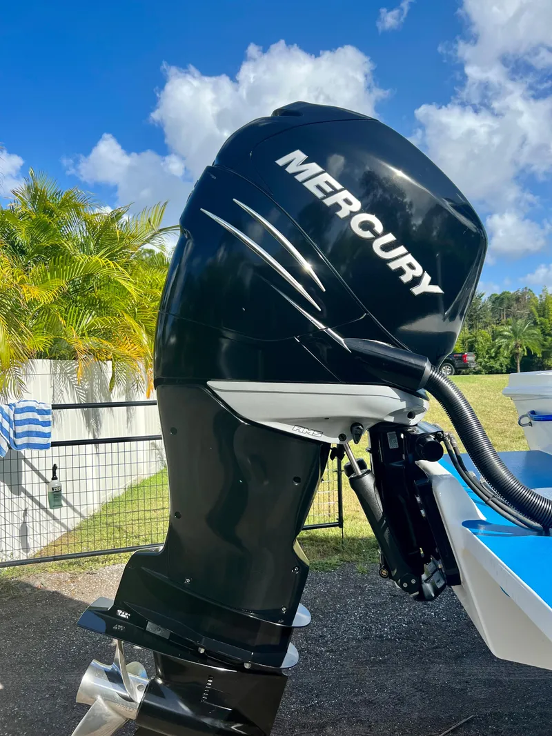 Slide: The Image of 2016 Renegade 250 boat with Mercury outboard motor in sunny outdoor setting. - 13