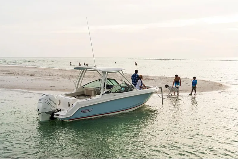 Slide: The Image of Boston Whaler 240 Vantage 2027 - 2