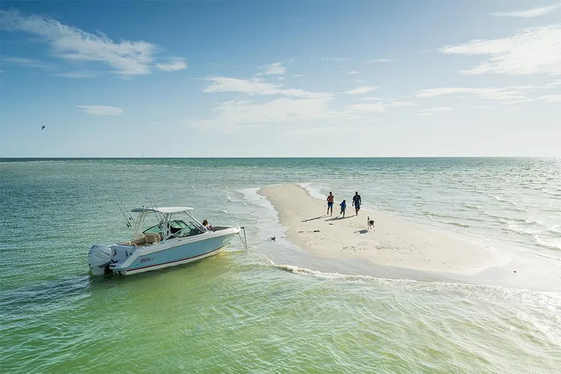 Slide: The Image of Boston Whaler 240 Vantage 2027 - 53