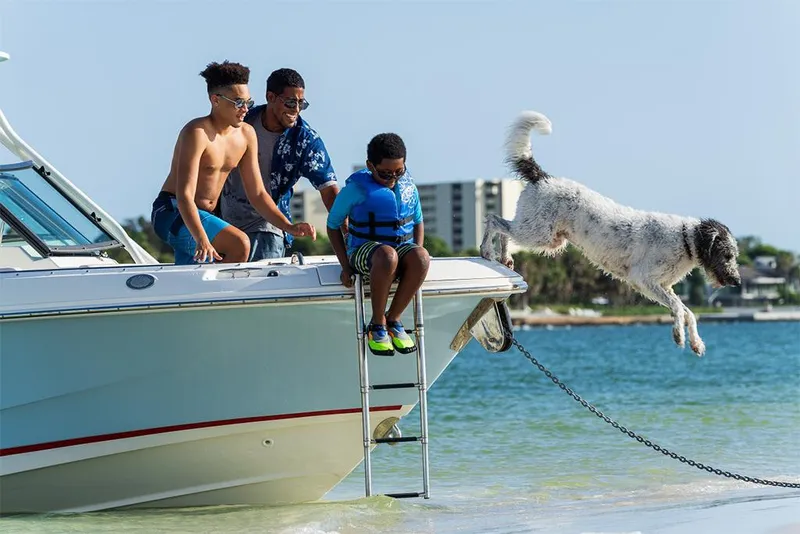 Slide: The Image of Boston Whaler 240 Vantage 2027 - 8