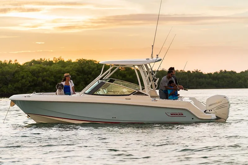 Slide: The Image of Boston Whaler 240 Vantage 2027 - 13
