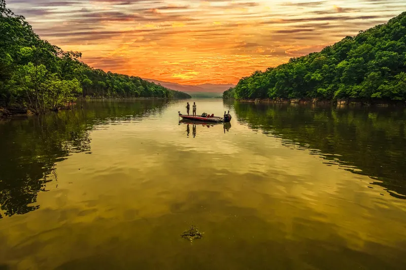 Slide: The Image of Manufacturer Provided Image - 55