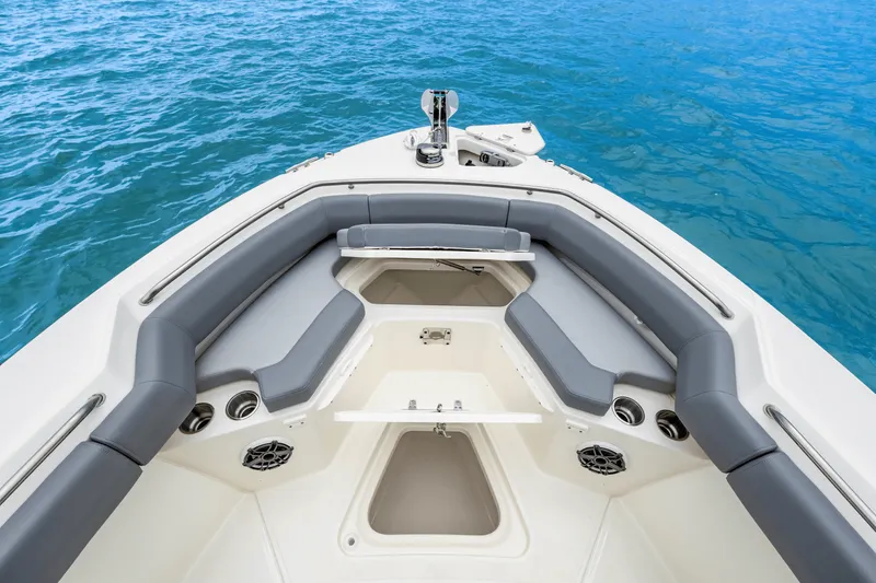 Slide: The Image of Boston Whaler 250 Outrage 2026 - 36
