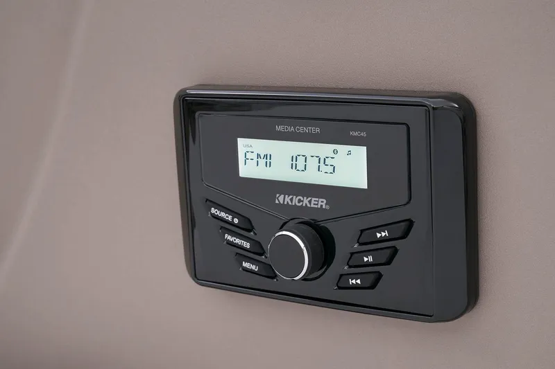 Slide: The Image of Bass Buggy 18 DLX - 33