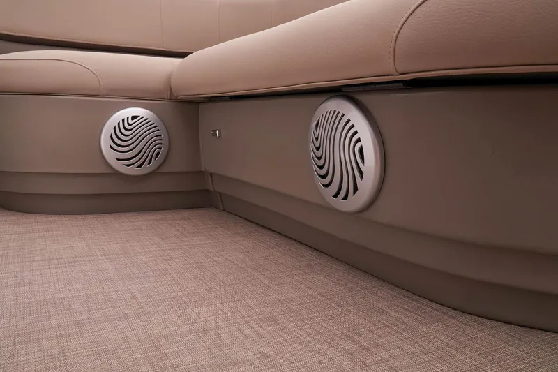 Slide: The Image of Bass Buggy 18 DLX - 39