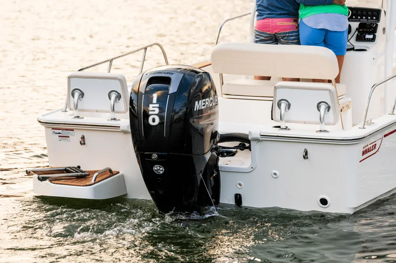 Slide: The Image of Boston Whaler 190 Montauk 2027 - 17