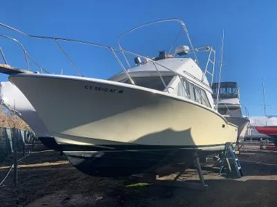 The Image of 1975 Chris-Craft 30 Tournament FB boat on dry dock. - 0