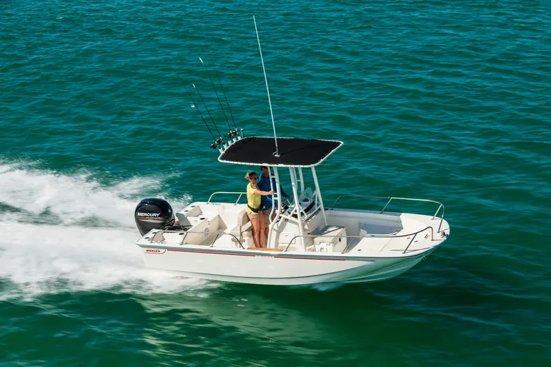 Slide: The Image of Boston Whaler 190 Montauk 2027 - 12