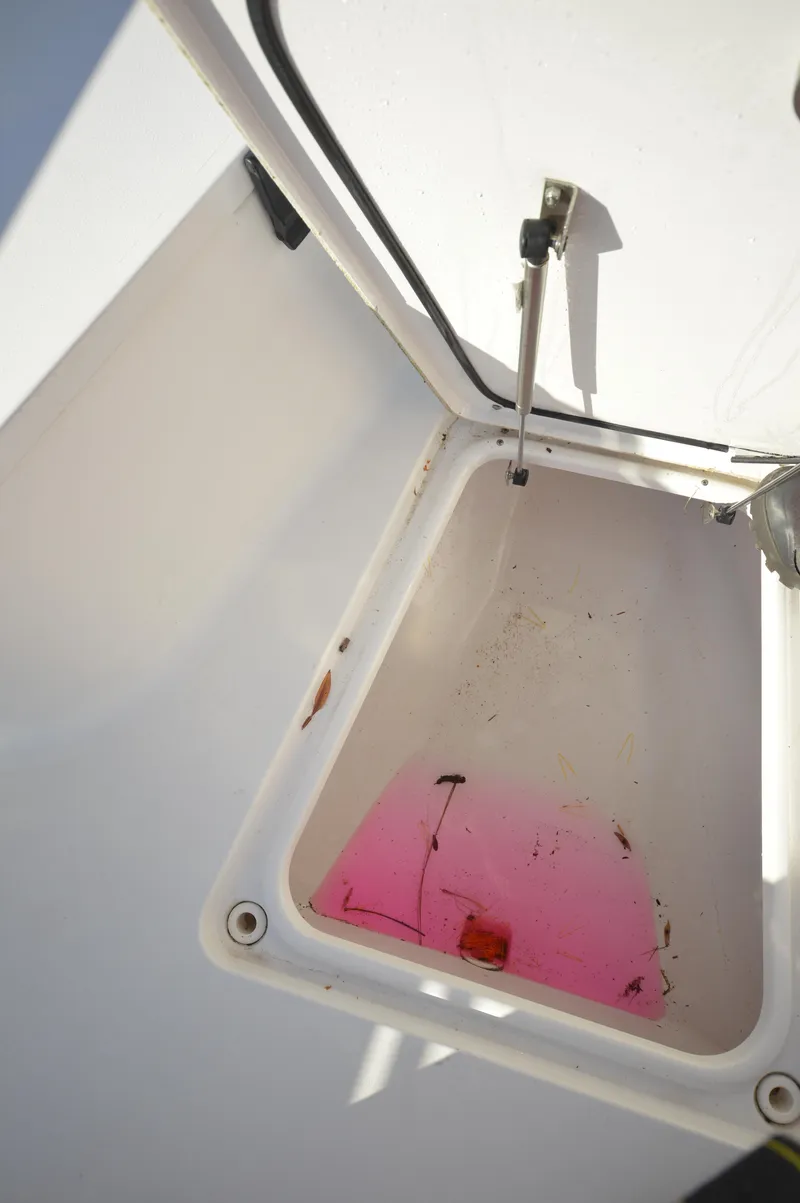 Slide: The Image of Open storage compartment on a 2015 Sportsman 25 Center Console boat. - 28