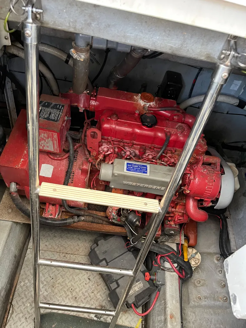 Slide: The Image of 50 Sea Ray Sundancer - 36