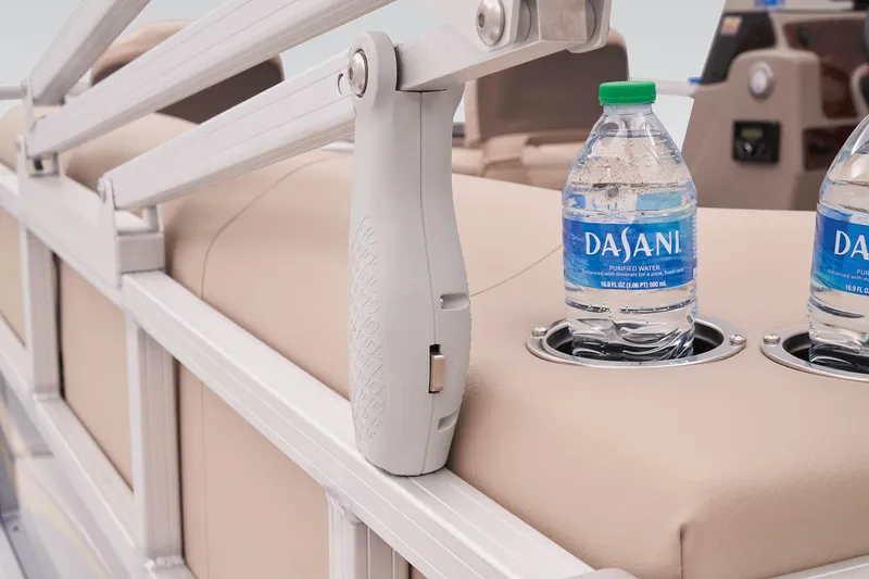 Slide: The Image of Bass Buggy 18 DLX - 46