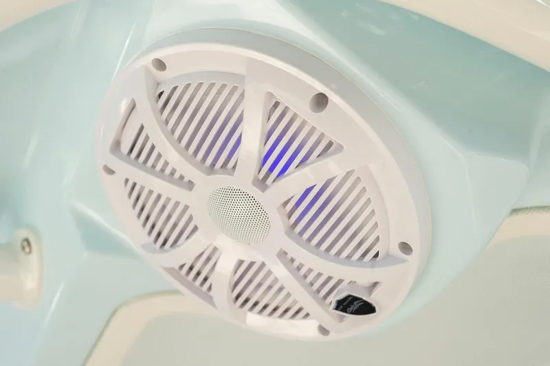 Slide: The Image of Sailfish 312 CC 2024 - 100