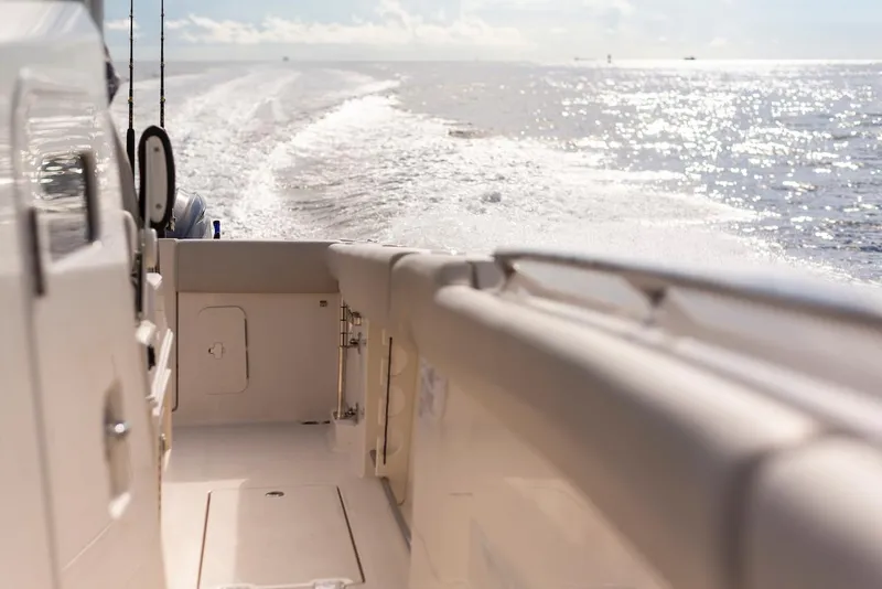 Slide: The Image of Sailfish 312 CC 2024 - 109