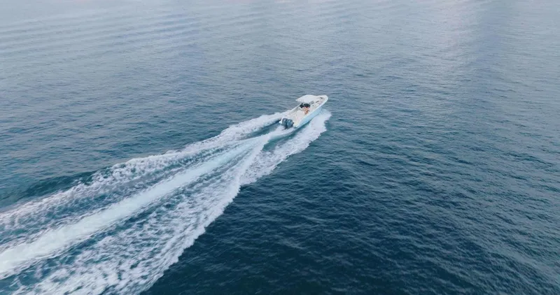 Slide: The Image of Sailfish 312 CC 2024 - 52