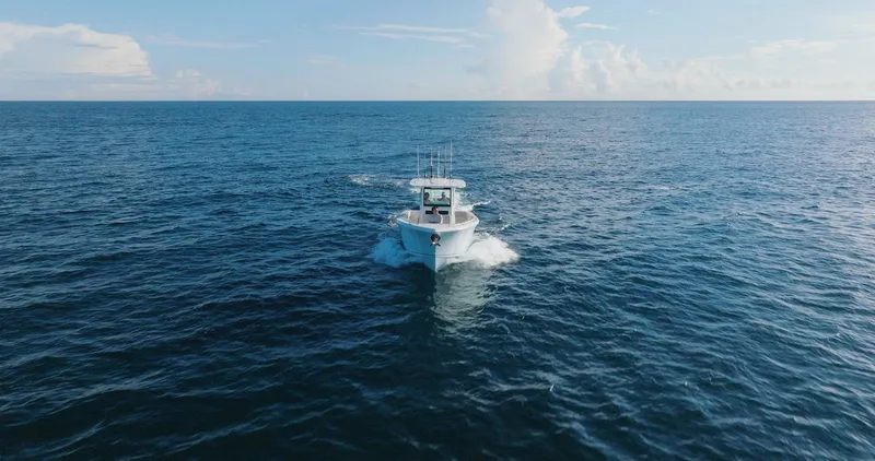 Slide: The Image of Sailfish 312 CC 2024 - 55