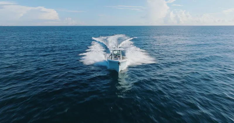 Slide: The Image of Sailfish 312 CC 2024 - 56