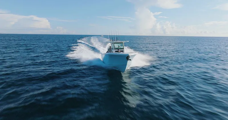 Slide: The Image of Sailfish 312 CC 2024 - 57