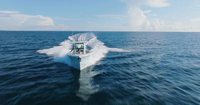 Slide: The Image of Sailfish 312 CC 2024 - 58