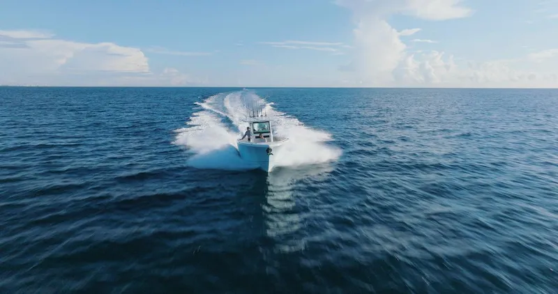 Slide: The Image of Sailfish 312 CC 2024 - 59