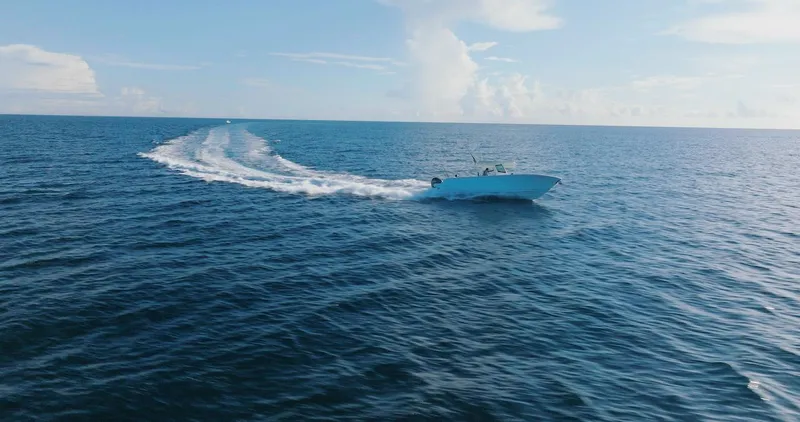 Slide: The Image of Sailfish 312 CC 2024 - 61