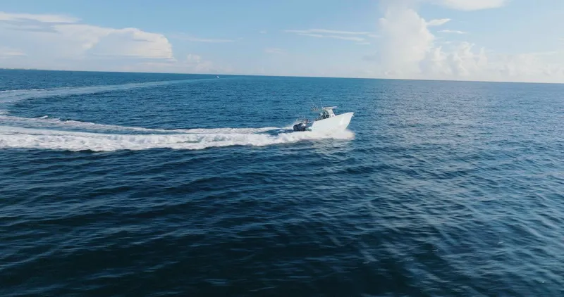 Slide: The Image of Sailfish 312 CC 2024 - 62