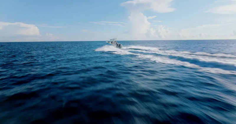 Slide: The Image of Sailfish 312 CC 2024 - 63