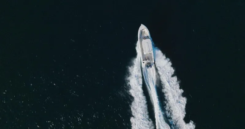 Slide: The Image of Sailfish 312 CC 2024 - 65