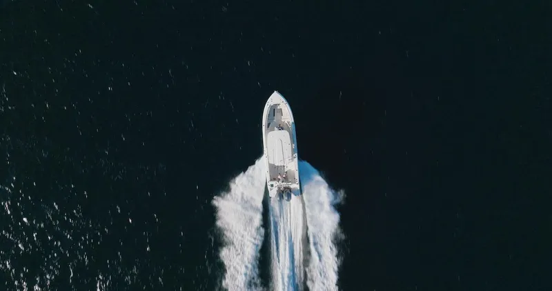 Slide: The Image of Sailfish 312 CC 2024 - 67