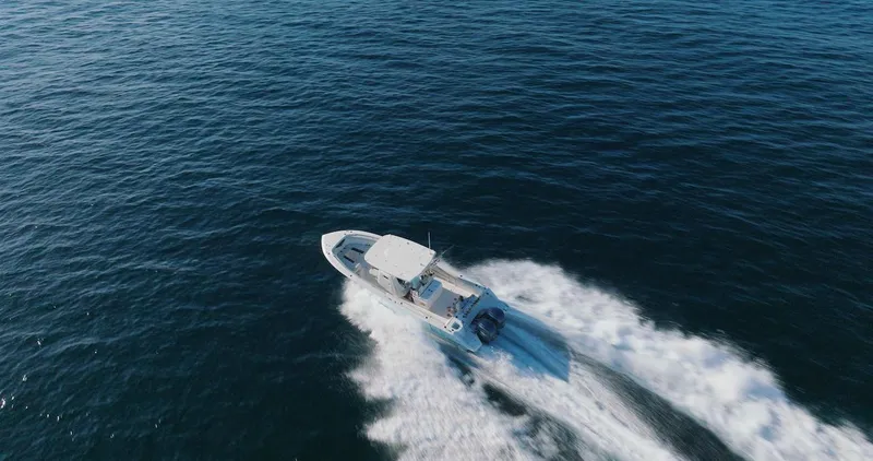 Slide: The Image of Sailfish 312 CC 2024 - 69