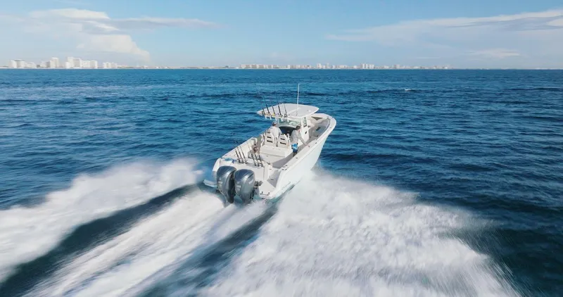 Slide: The Image of Sailfish 312 CC 2024 - 70