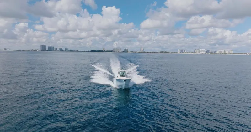 Slide: The Image of Sailfish 312 CC 2024 - 71