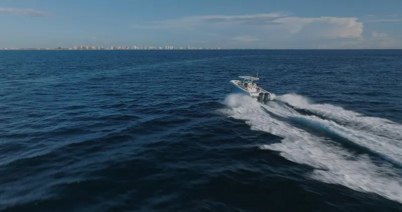 Slide: The Image of Sailfish 312 CC 2024 - 85