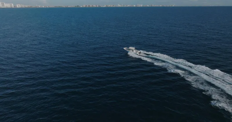 Slide: The Image of Sailfish 312 CC 2024 - 86