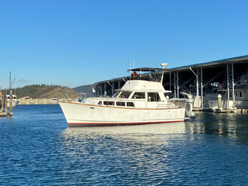 The Image of 1981 Rough Water 37 Sedan boat docked in a marina under clear blue skies. - 0
