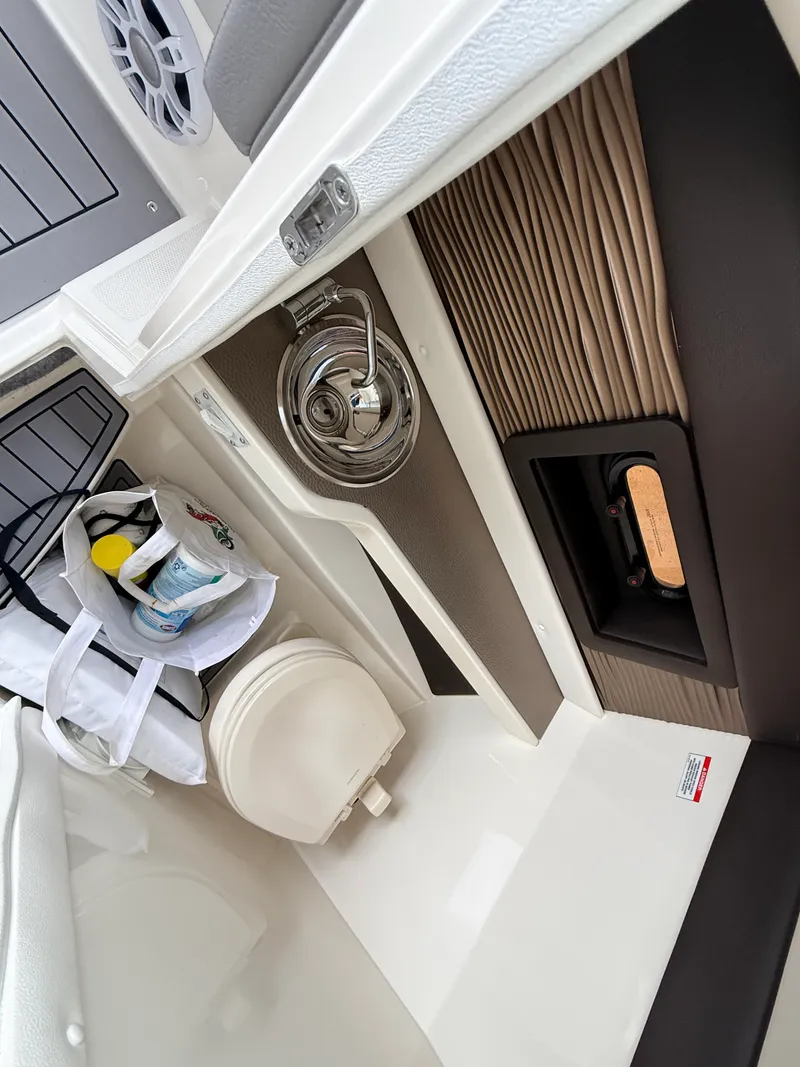 Slide: The Image of Sea Ray 250 SLX 2020 - 11
