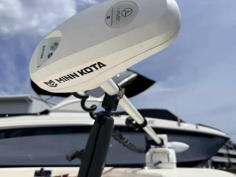 Slide: The Image of Scout 177 SP 2022 - 9