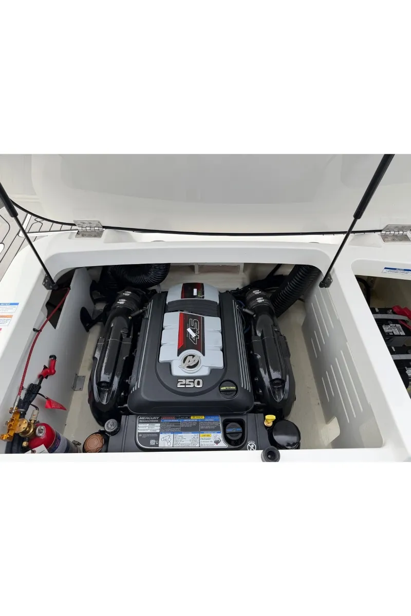 Slide: The Image of Sea Ray 210 SPX 2024 - 38